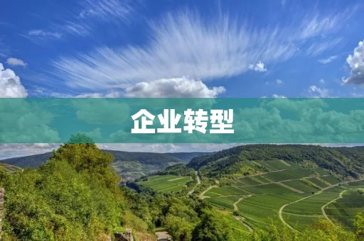 企业转型:如何应对市场变革