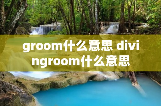 groom什么意思 divingroom什么意思