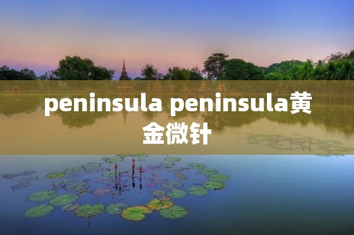 peninsula peninsula黄金微针