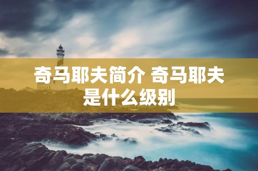 奇马耶夫简介 奇马耶夫是什么级别
