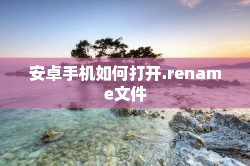 安卓手机如何打开.rename文件