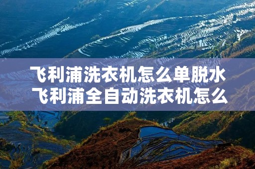 飞利浦洗衣机怎么单脱水 飞利浦全自动洗衣机怎么脱水