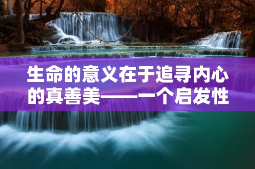 生命的意义在于追寻内心的真善美——一个启发性故事