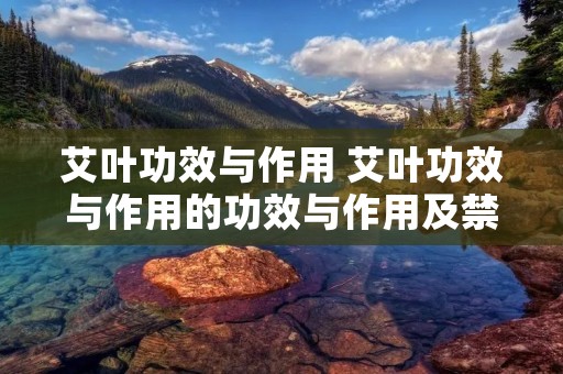 艾叶功效与作用 艾叶功效与作用的功效与作用及禁忌症