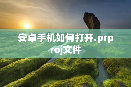 安卓手机如何打开.prproj文件