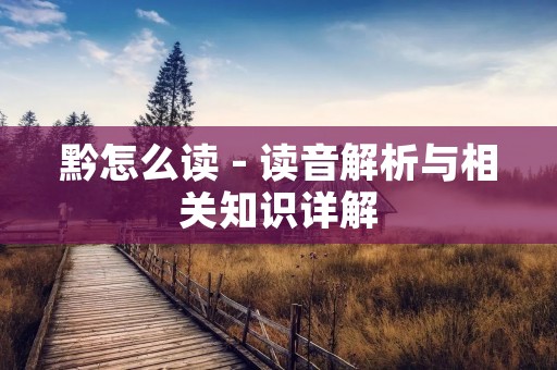 黔怎么读 - 读音解析与相关知识详解