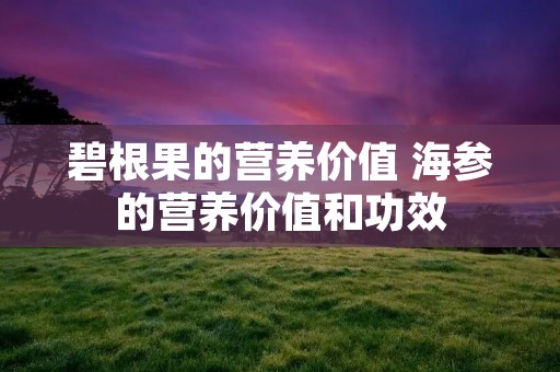 碧根果的营养价值 海参的营养价值和功效