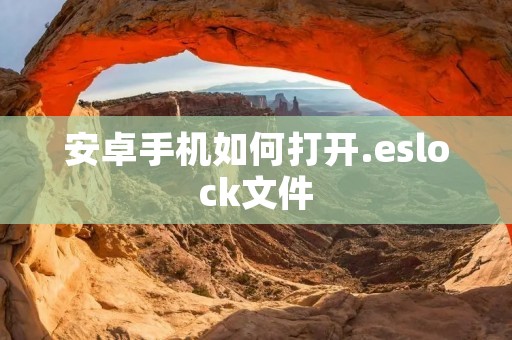 安卓手机如何打开.eslock文件