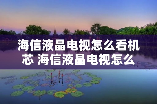 海信液晶电视怎么看机芯 海信液晶电视怎么看机芯型号 海信液晶电视怎么看机芯 海信液晶电视怎么看机芯型号