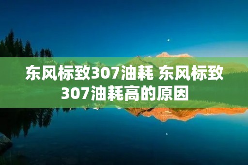 东风标致307油耗 东风标致307油耗高的原因