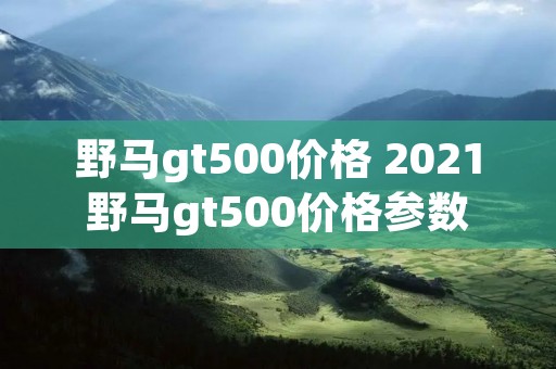 野马gt500价格 2021野马gt500价格参数 野马gt500价格 2021野马gt500价格参数