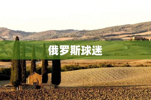 俄罗斯球迷:热情、**与忠诚 俄罗斯球迷:热情、**与忠诚