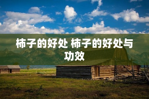 柿子的好处 柿子的好处与功效