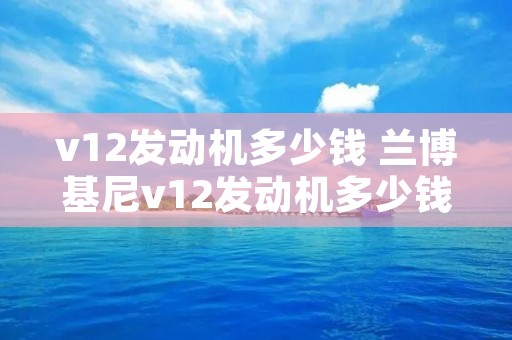v12发动机多少钱 兰博基尼v12发动机多少钱