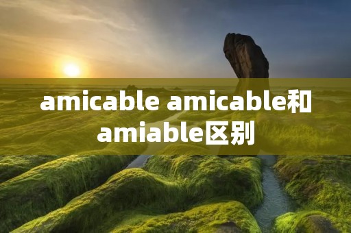 amicable amicable和amiable区别
