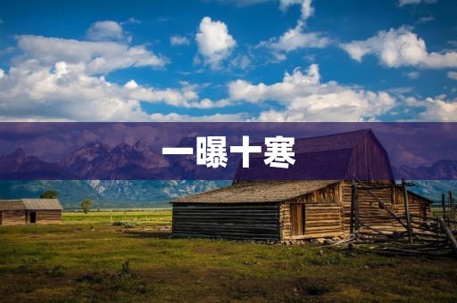 一曝十寒：不断反复的起伏与坚持