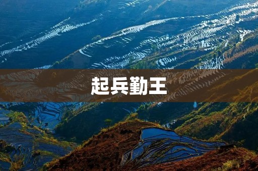 起兵勤王:英勇的行动与国家忠诚