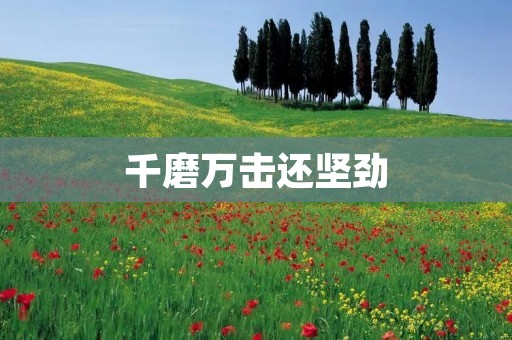 千磨万击还坚劲：生命的坚韧与奋斗精神
