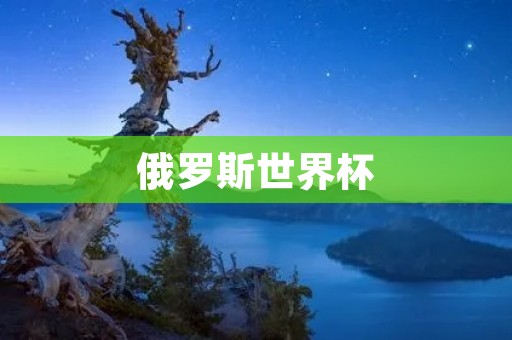 俄罗斯世界杯：足球盛宴激荡全球**