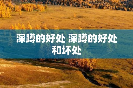 深蹲的好处 深蹲的好处和坏处