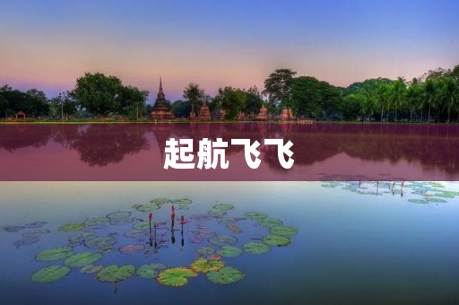 起航飞飞:一次壮丽的冒险之旅