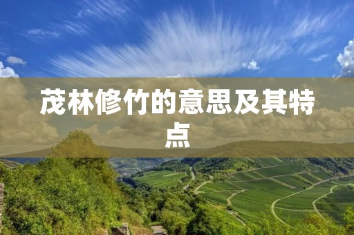 茂林修竹的意思及其特点