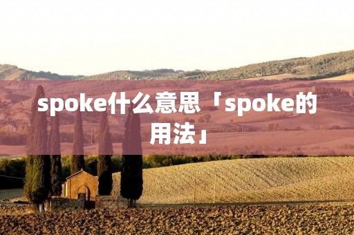 spoke什么意思「spoke的用法」