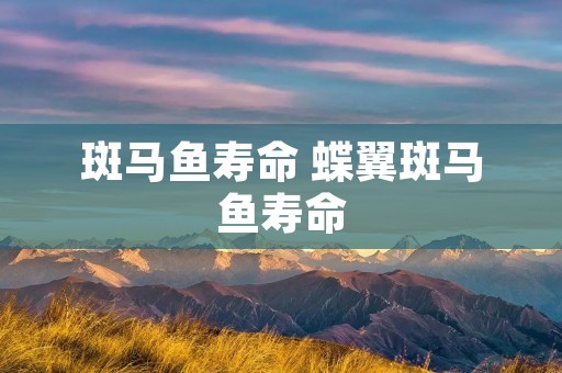 斑马鱼寿命 蝶翼斑马鱼寿命