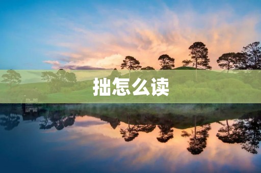 拙怎么读：探寻一个字的发音与意义