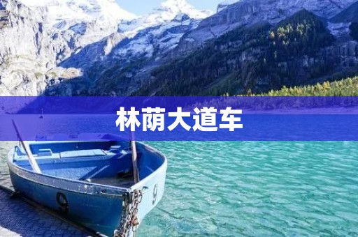 林荫大道车:美丽与便利的交织 林荫大道车:美丽与便利的交织