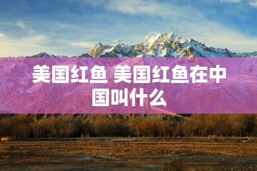 美国红鱼 美国红鱼在中国叫什么
