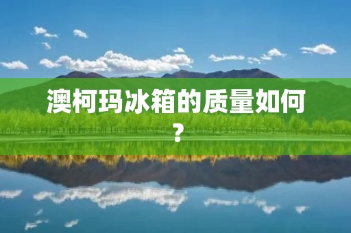 澳柯玛冰箱的质量如何？