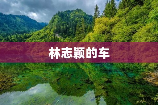 林志颖的车:奢华与品味的完美结合 林志颖的车:奢华与品味的完美结合