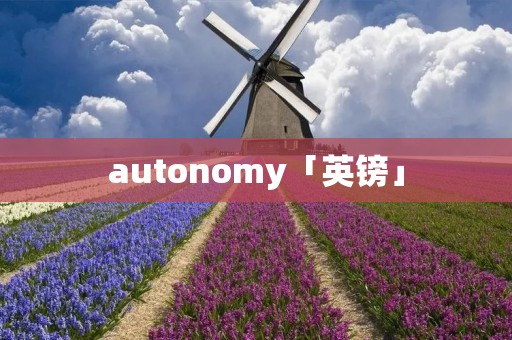 autonomy「英镑」