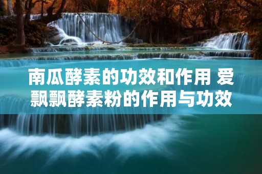 南瓜酵素的功效和作用 爱飘飘酵素粉的作用与功效