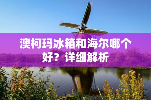 澳柯玛冰箱和海尔哪个好?详细解析 澳柯玛冰箱和海尔哪个好?详细解析