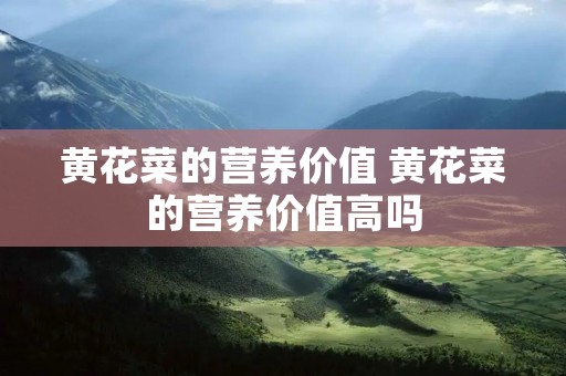 黄花菜的营养价值 黄花菜的营养价值高吗