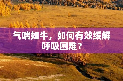 气喘如牛,如何有效缓解呼吸困难?