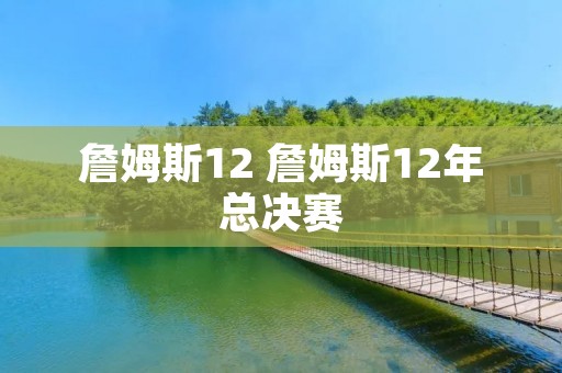 詹姆斯12 詹姆斯12年总决赛 詹姆斯12 詹姆斯12年总决赛