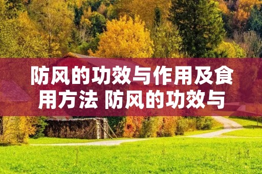 防风的功效与作用及食用方法 防风的功效与作用防风