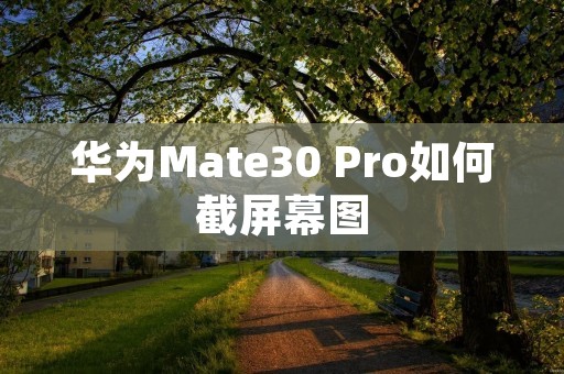 华为Mate30 Pro如何截屏幕图