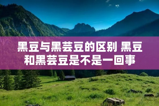 黑豆与黑芸豆的区别 黑豆和黑芸豆是不是一回事