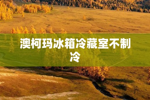 澳柯玛冰箱冷藏室不制冷:原因与解决方法 澳柯玛冰箱冷藏室不制冷:原因与解决方法
