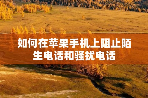 如何在苹果手机上阻止陌生电话和骚扰电话