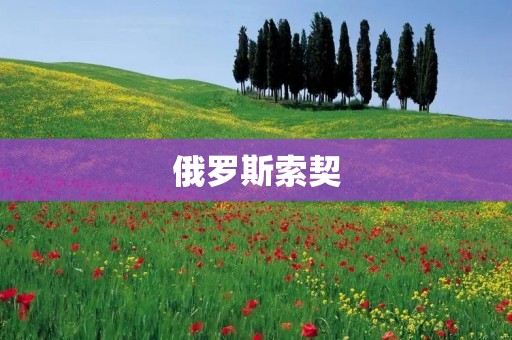 俄罗斯索契：美丽的度假胜地与冬季运动之都