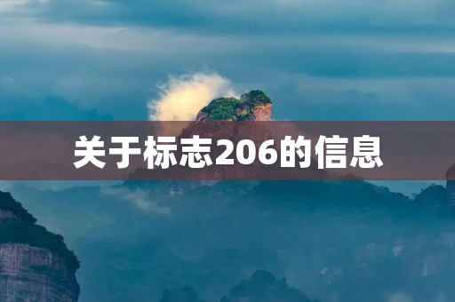 关于标志206的信息 关于标志206的信息