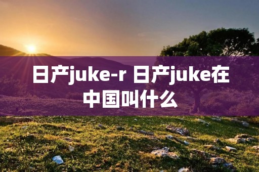 日产juke-r 日产juke在中国叫什么