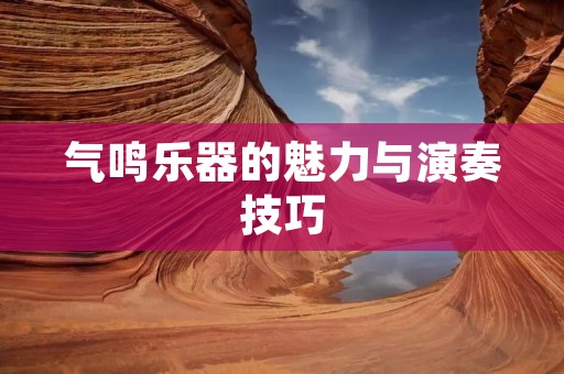 气鸣乐器的魅力与演奏技巧