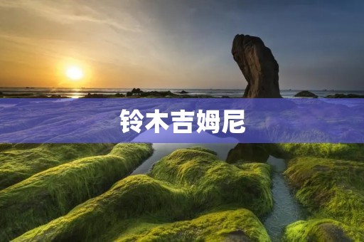 铃木吉姆尼:小巧而强大的越野利器 铃木吉姆尼:小巧而强大的越野利器