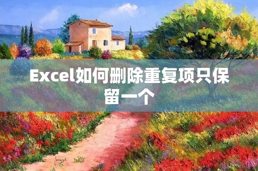 Excel如何删除重复项只保留一个